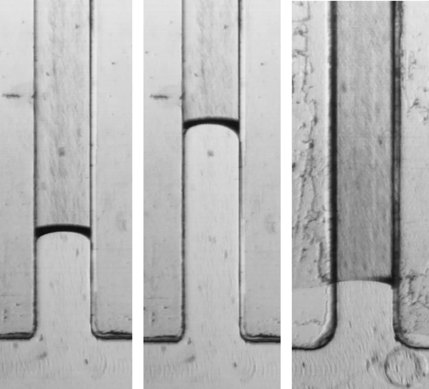 Three experimental examples of thick and asymmetric liquid interfaces in a T-shaped microchannel crevice.